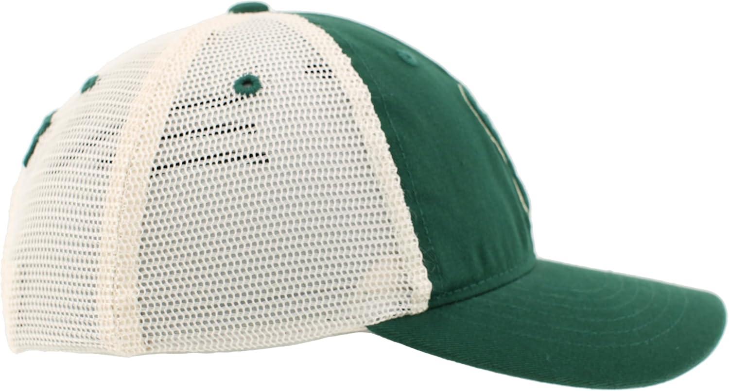 imageZHATS NBA UnisexAdult NBA Officially Licensed Adjustable Snapback Hat University Icon Team ColorTeam Color