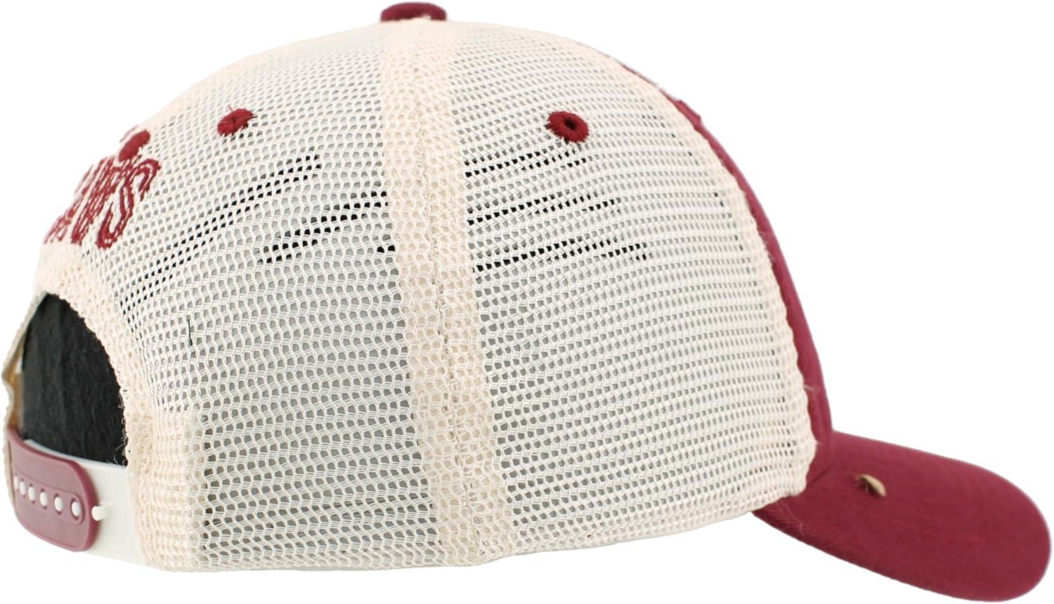 imageZHATS NBA UnisexAdult NBA Officially Licensed Adjustable Snapback Hat University Icon Team ColorTeam Color