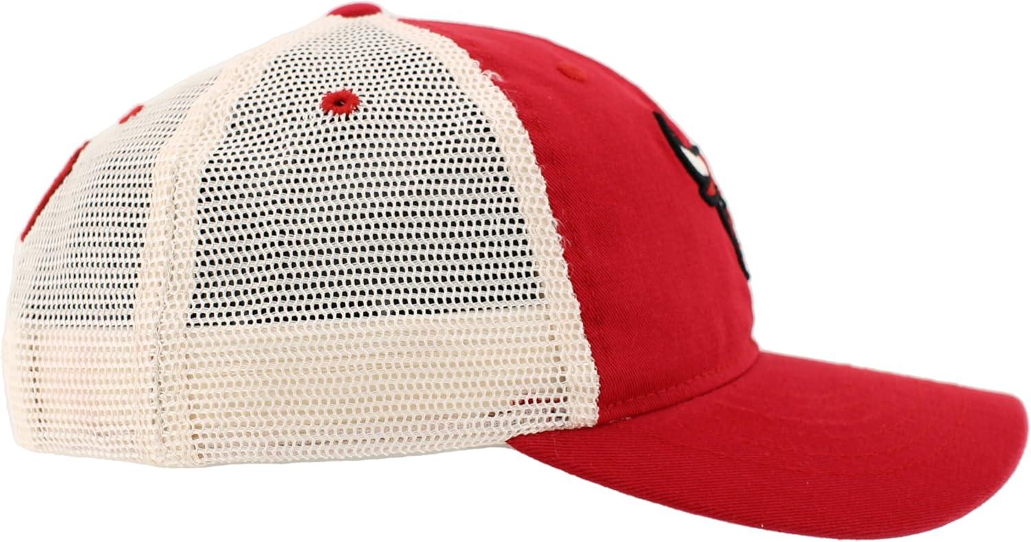 imageZHATS NBA UnisexAdult NBA Officially Licensed Adjustable Snapback Hat University Icon Team ColorTeam Color