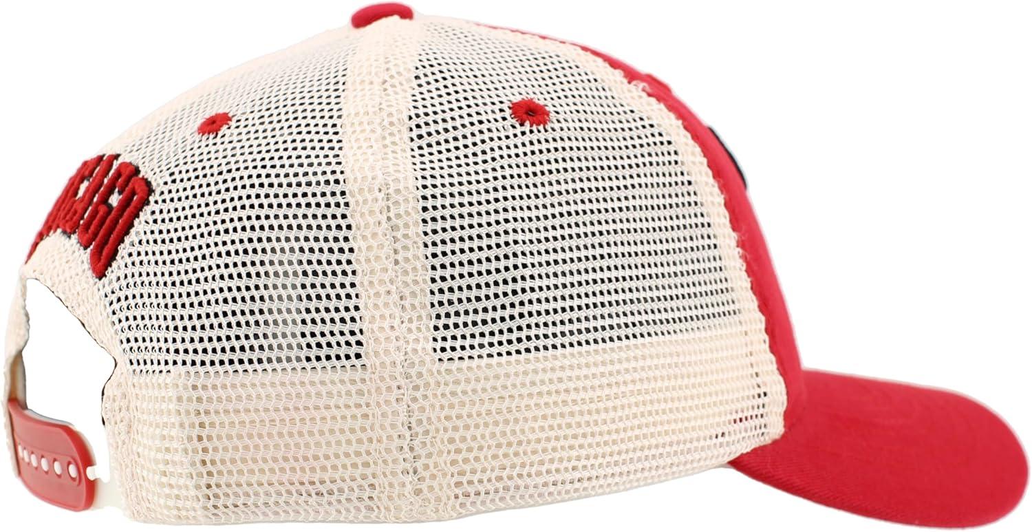 imageZHATS NBA UnisexAdult NBA Officially Licensed Adjustable Snapback Hat University Icon Team ColorTeam Color