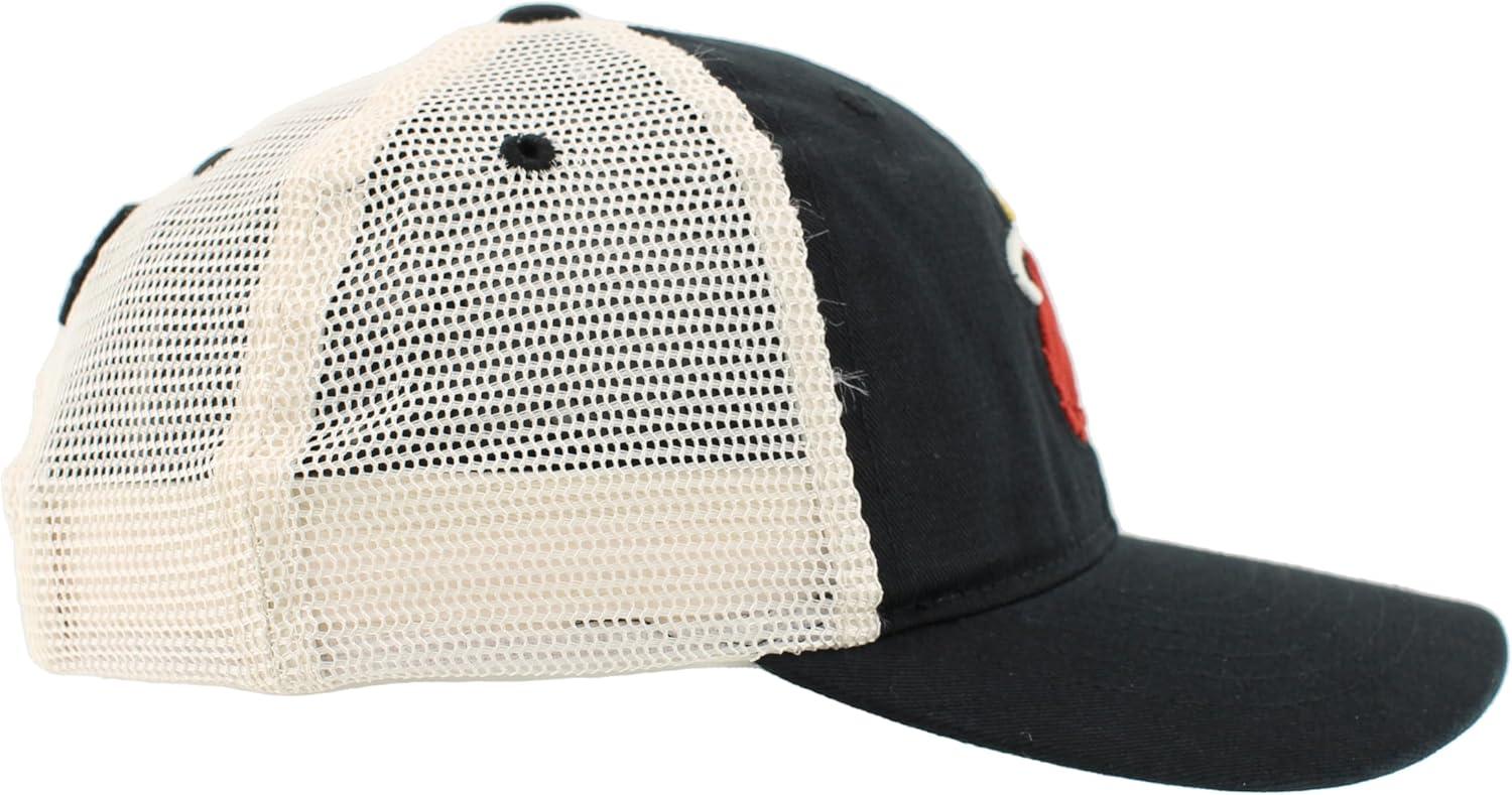 imageZHATS NBA UnisexAdult NBA Officially Licensed Adjustable Snapback Hat University Icon Team ColorTeam Color