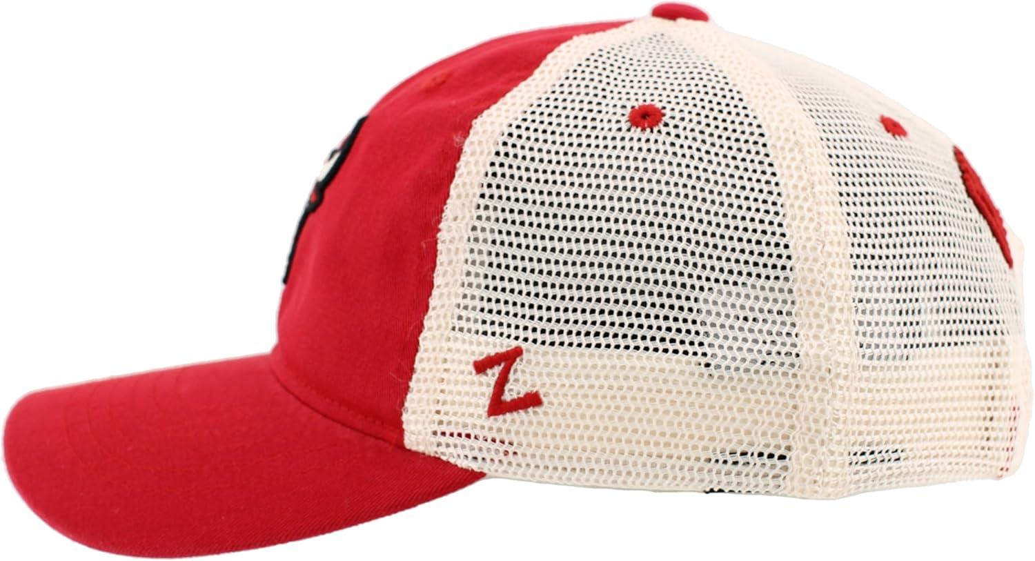 imageZHATS NBA UnisexAdult NBA Officially Licensed Adjustable Snapback Hat University Icon Team ColorTeam Color