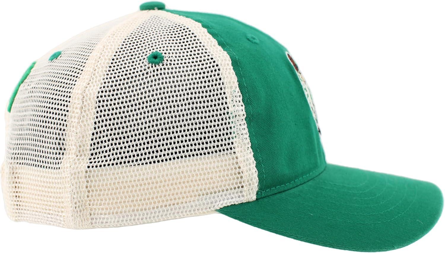 imageZHATS NBA UnisexAdult NBA Officially Licensed Adjustable Snapback Hat University Icon Team ColorTeam Color