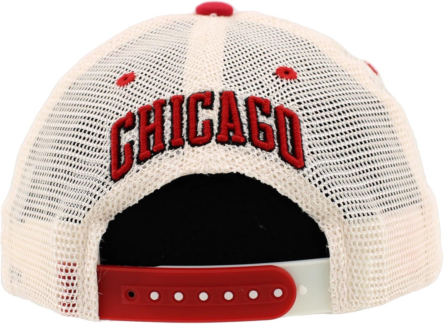 imageZHATS NBA UnisexAdult NBA Officially Licensed Adjustable Snapback Hat University Icon Team ColorTeam Color