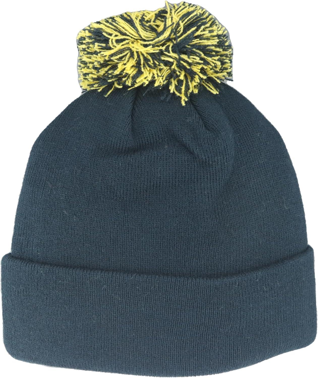 imageZHATS NBA UnisexAdult NBA Officially Licensed Beanie Pom Icon Team ColorTeam Color