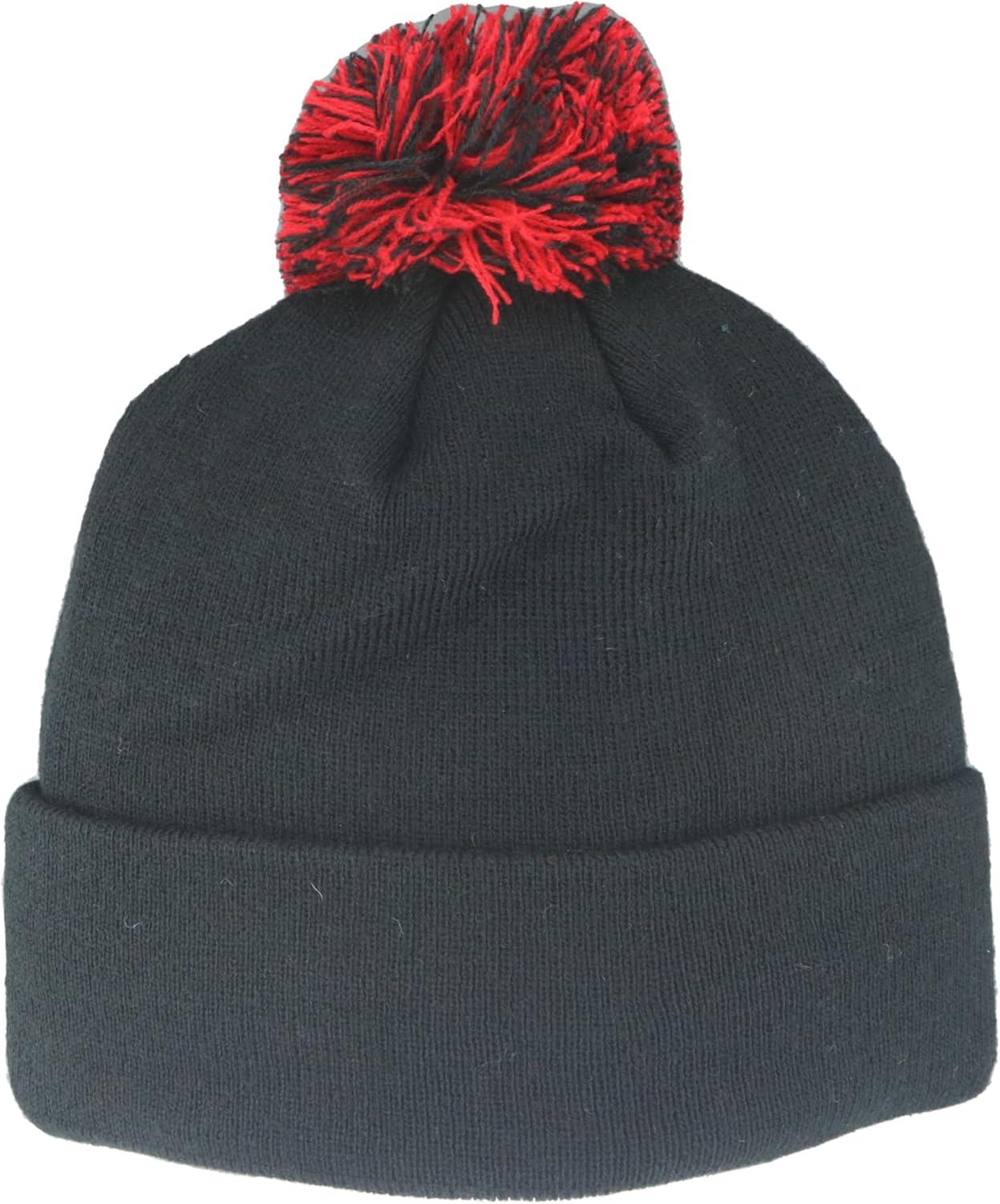 imageZHATS NBA UnisexAdult NBA Officially Licensed Beanie Pom Icon Team ColorTeam Color