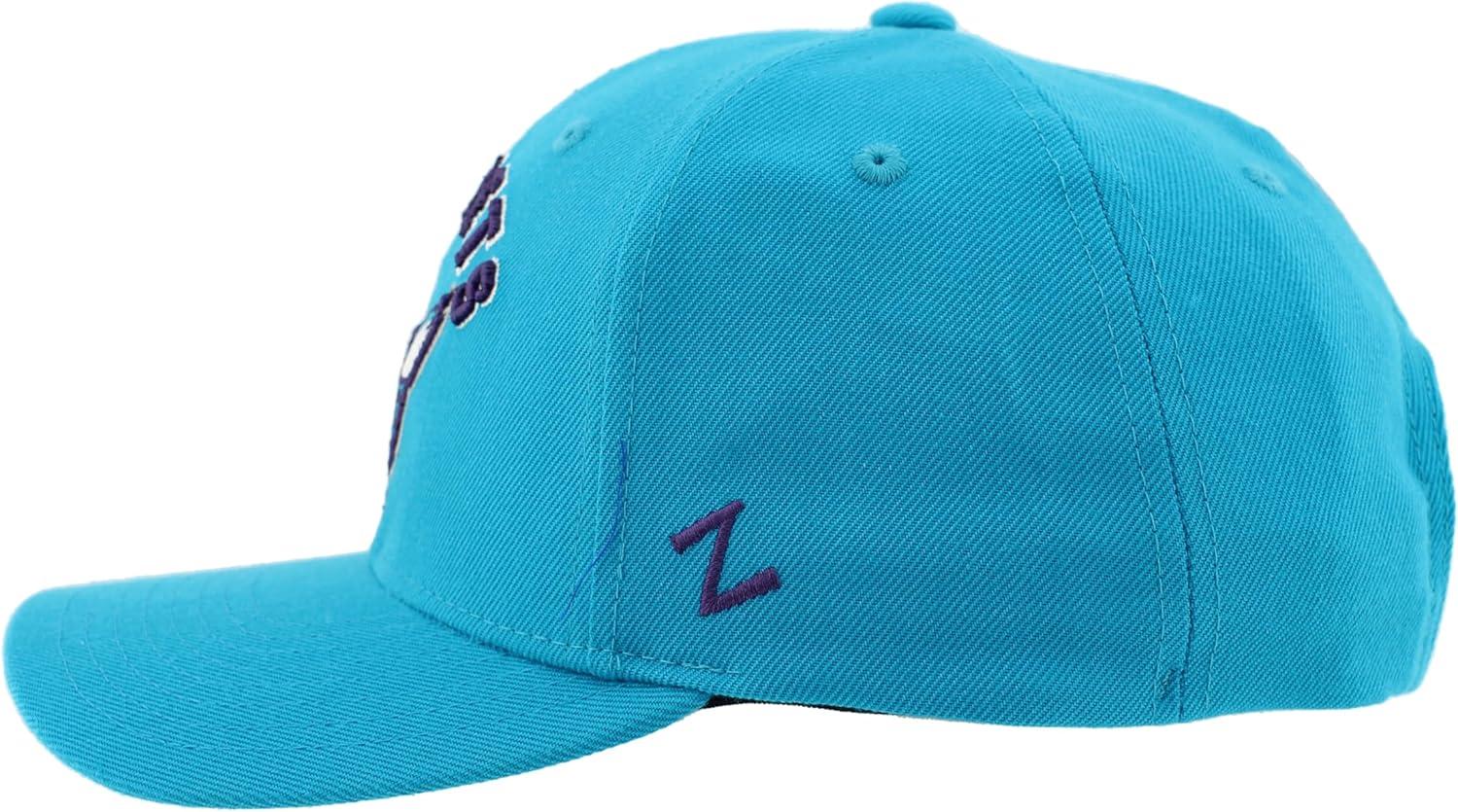 imageZHATS NBA UnisexAdult NBA Officially Licensed Hat Competitor Team ColorTeam Color