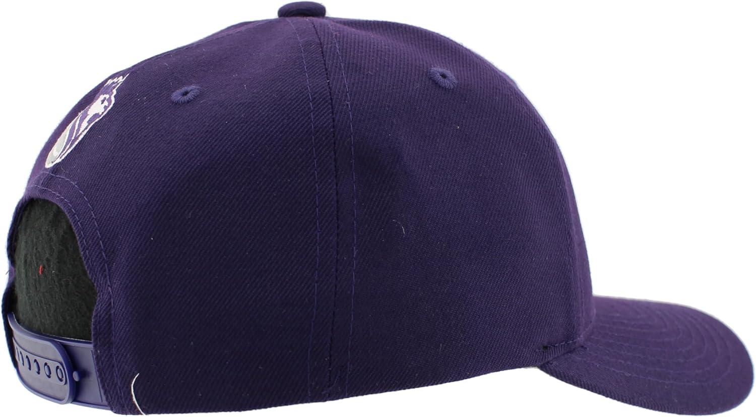 imageZHATS NBA UnisexAdult NBA Officially Licensed Hat Competitor Team ColorTeam Color