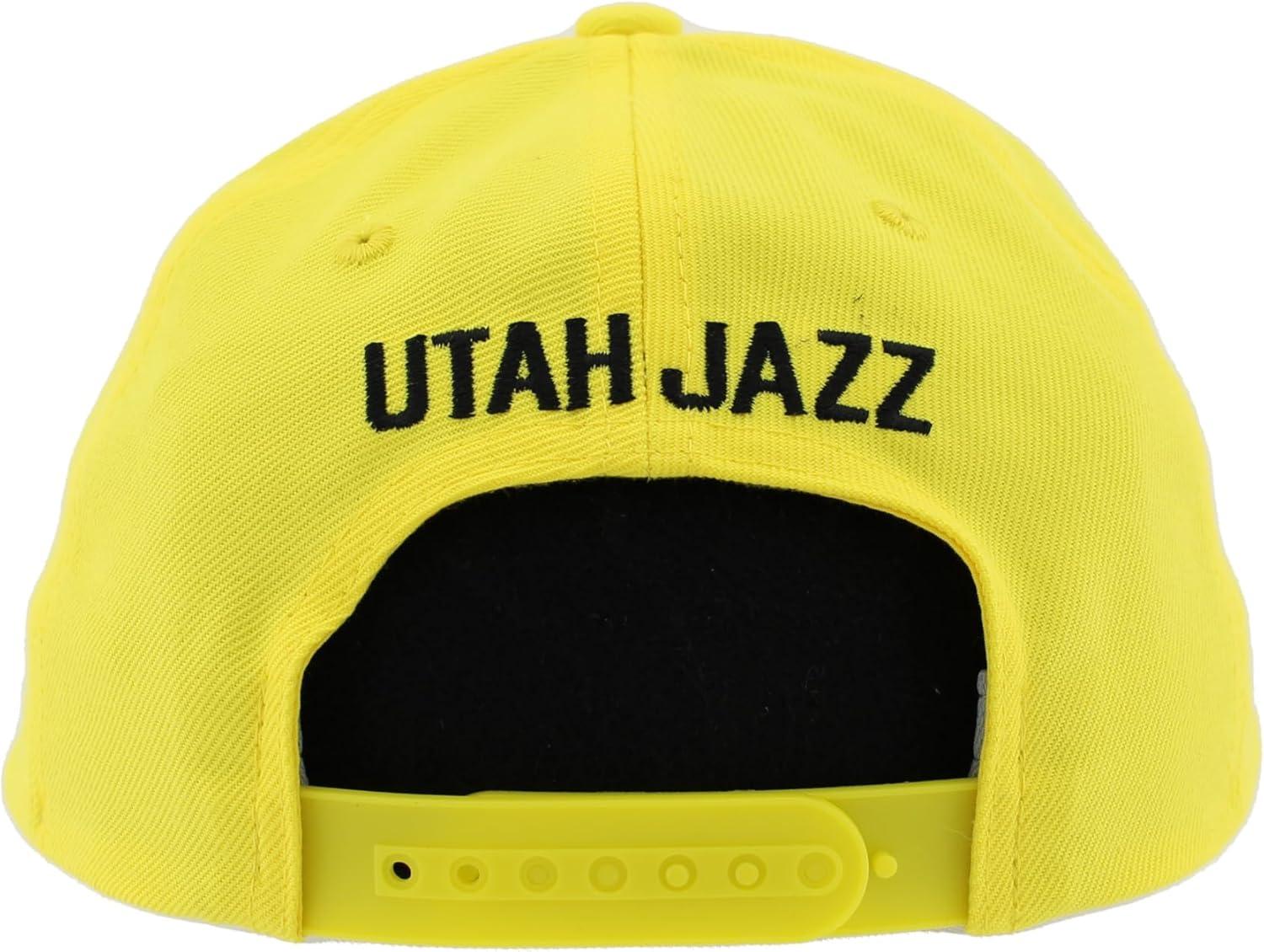 imageZHATS NBA UnisexAdult NBA Officially Licensed Hat Competitor Team ColorTeam Color