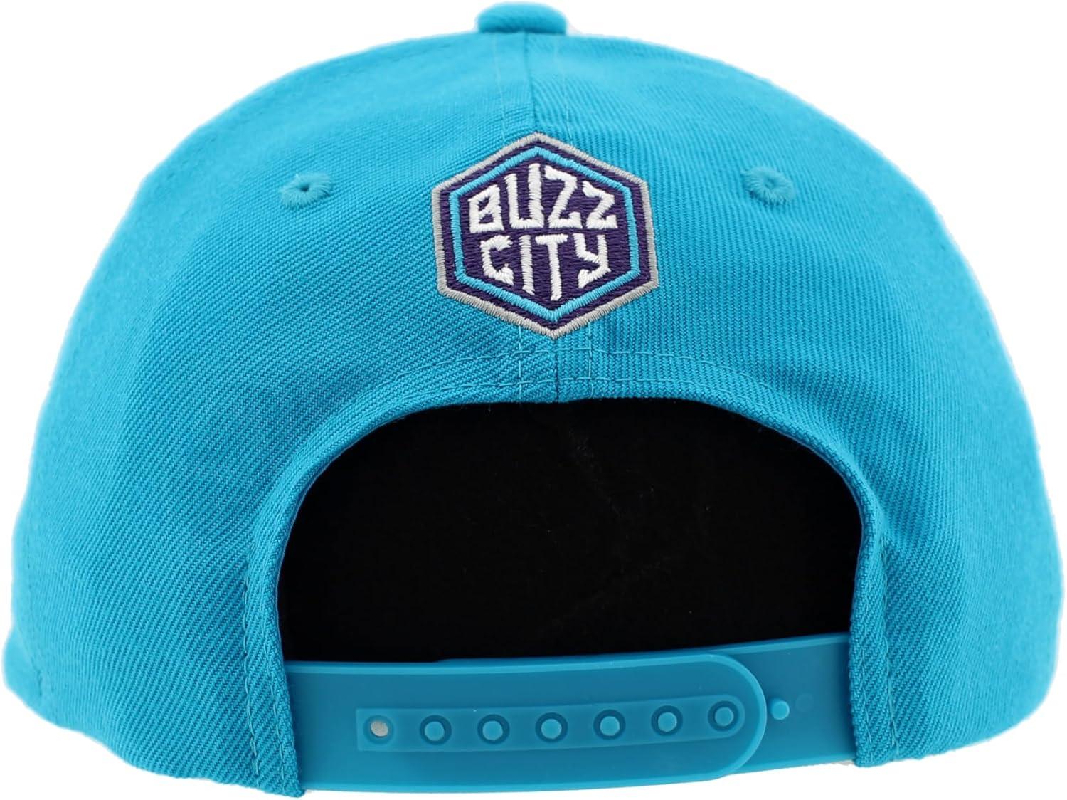 imageZHATS NBA UnisexAdult NBA Officially Licensed Hat Competitor Team ColorTeam Color