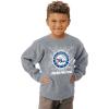 Blue 84 NBA unisex-child Nba Officially Licensed Youth Crewneck Sweatshirt Ringspun Electric Gray(Gray)