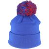 ZHATS NBA Unisex Kids NBA Officially Licensed Youth Beanie Pom Icon Team Color(Team Color)