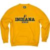 Blue 84 Indiana Pacers NBA Officially Licensed Crewneck Varsity, Secondary Color, Large
